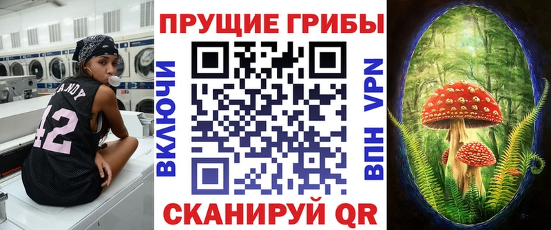 Галлюциногенные грибы MAGIC MUSHROOMS  наркота  Кореновск 