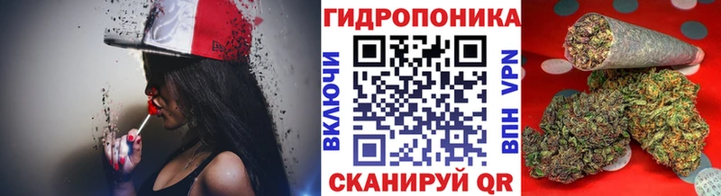 Конопля SATIVA & INDICA  Кореновск 